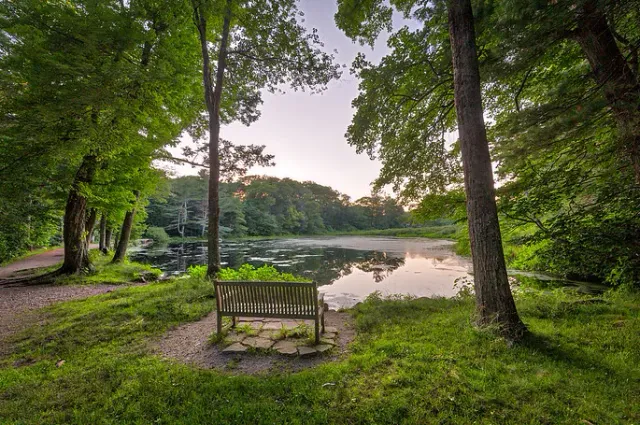 Norris Reservation Photography Guide (Norwell, MA) — Photography Shark